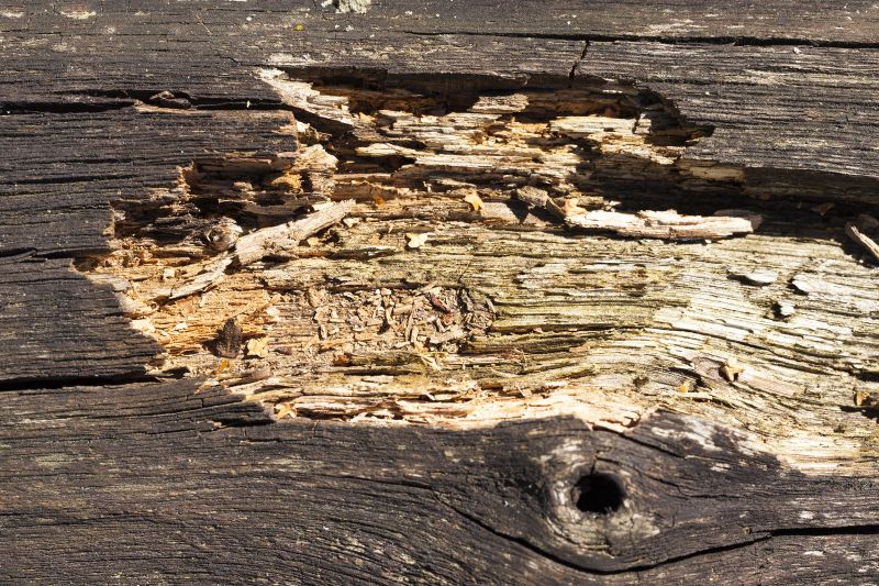 Decayed Wood Replacement in Alpharetta, GA