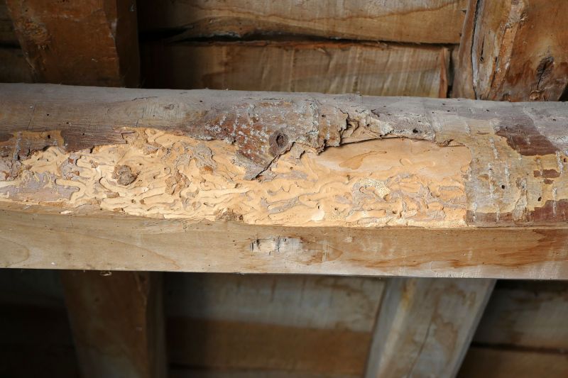 Decayed Wood Replacement in Kansas City, MO