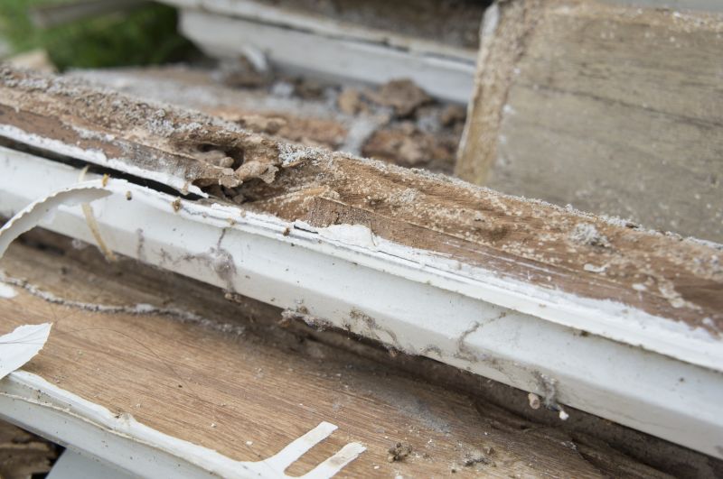 Wood Rot Repair in Conroe, TX