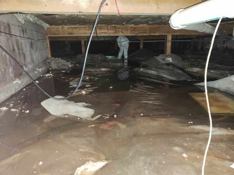 Basement Water Removal in Mesa, AZ