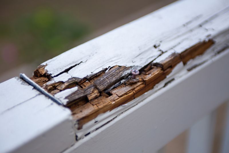 Decay Repair Service in Olathe, KS