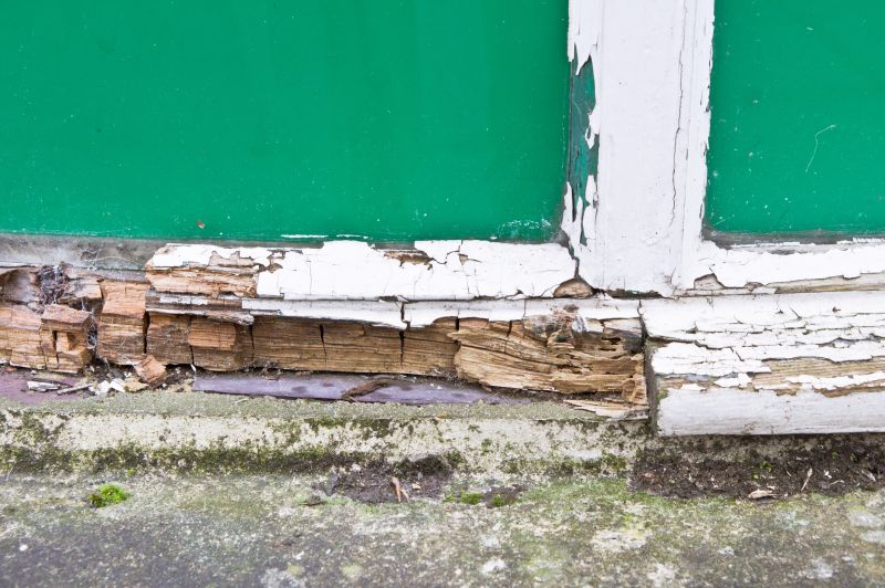 Decay Repair Service in Olathe, KS