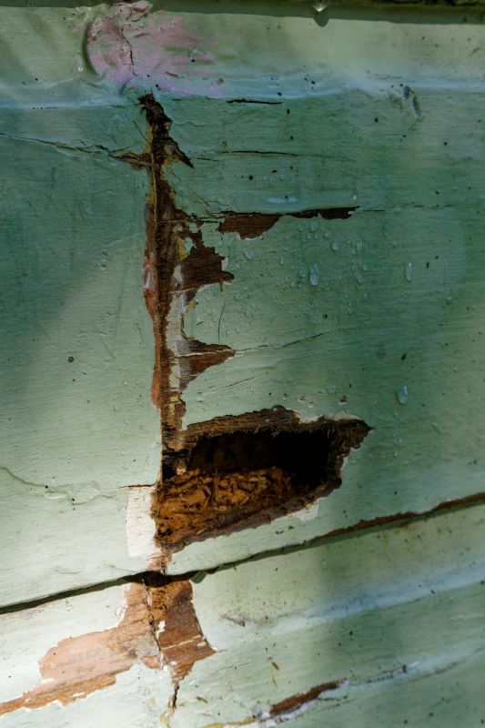 Decayed Wood Replacement in Overland Park, KS