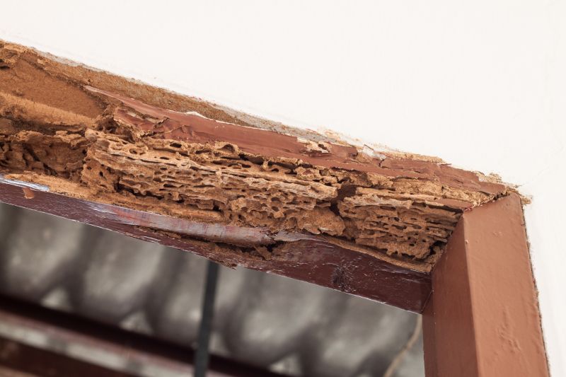 Decayed Wood Replacement in Denver, CO