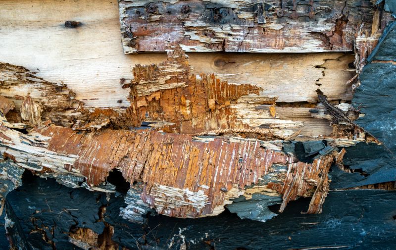 Decayed Wood Replacement in Olathe, KS
