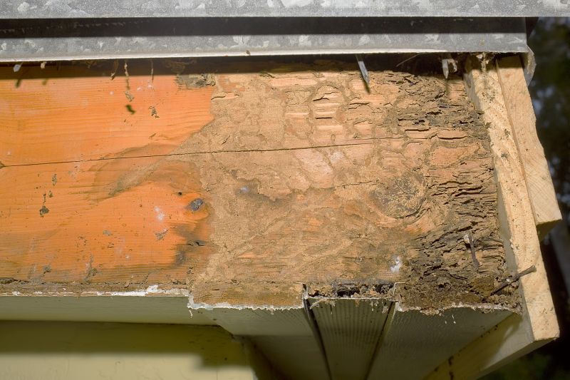 Dry Rot Repair in Boulder, CO