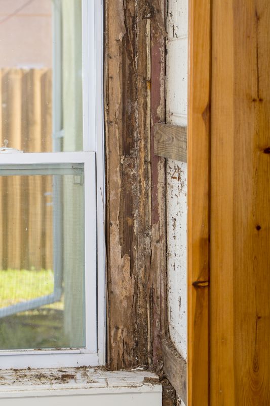 Dry Rot Repair in Conroe, TX