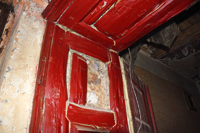 Rot Repair Service in Denver, CO
