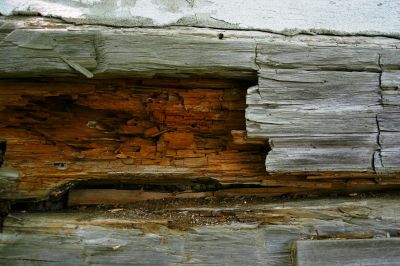 Rotten Wood Repair in Denver, CO