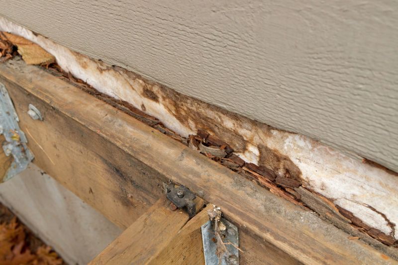 Structural Rot Repair in Overland Park, KS