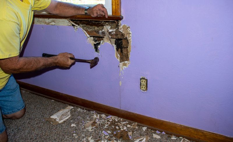Termite Damage Repair Service in Arvada, CO
