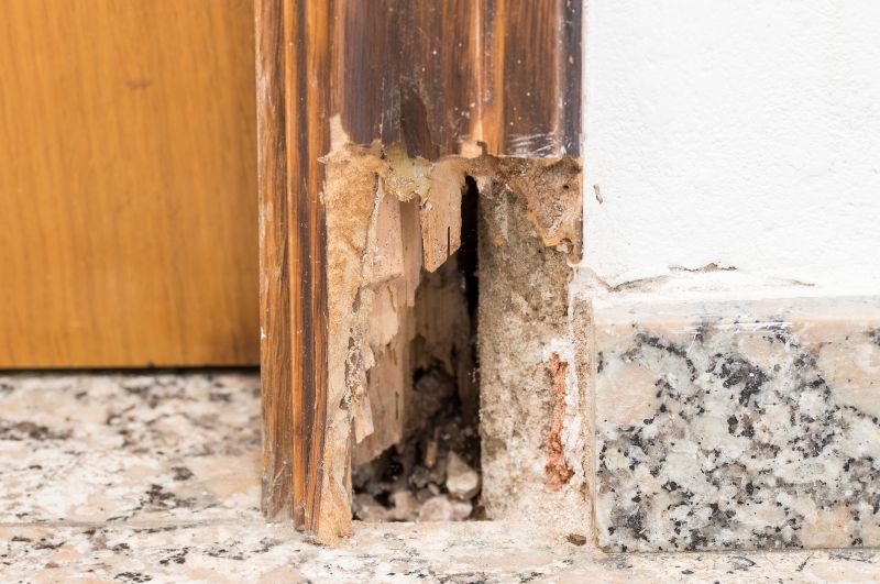 Termite Damage Restoration in Olathe, KS