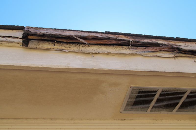 Termite Damage Restoration in Alpharetta, GA