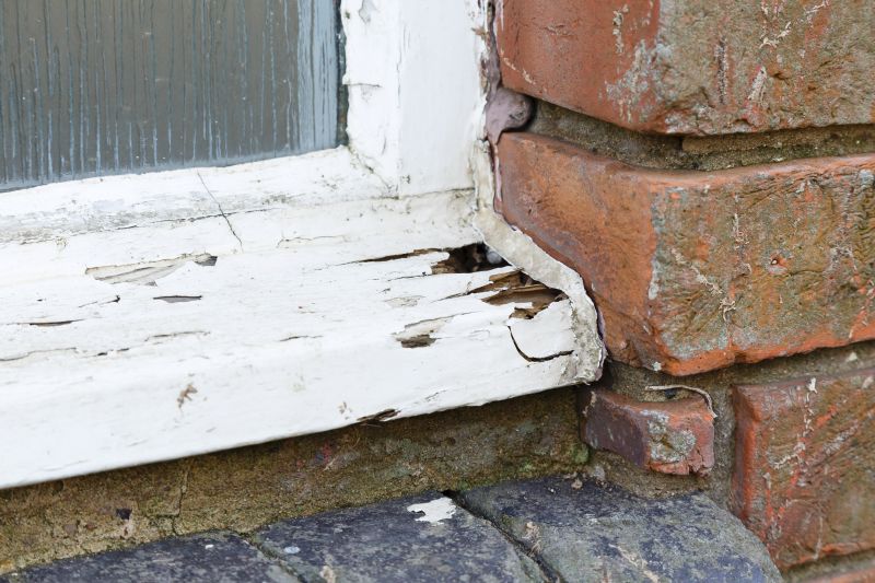 Window Rot Repair in Indianapolis, IN