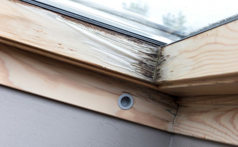 Window Rot Repair in Denver, CO