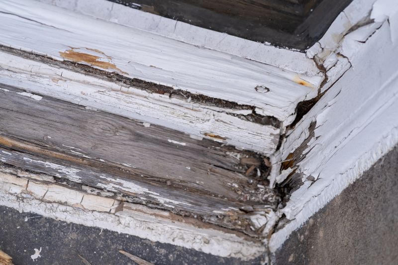 Wood Decay Removal in Roswell, GA