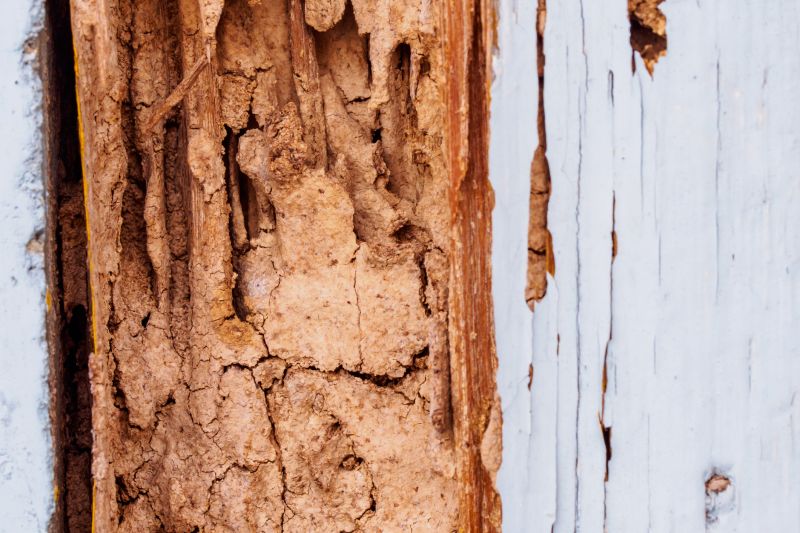 Wood Decay Repair in Arvada, CO