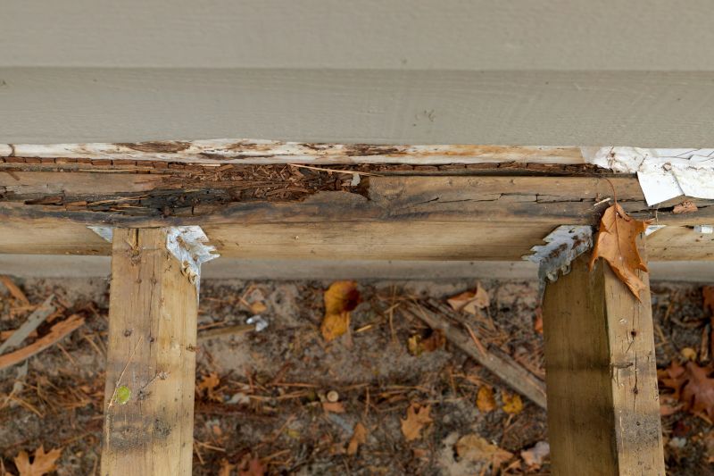 Wood Rot Removal in Conroe, TX