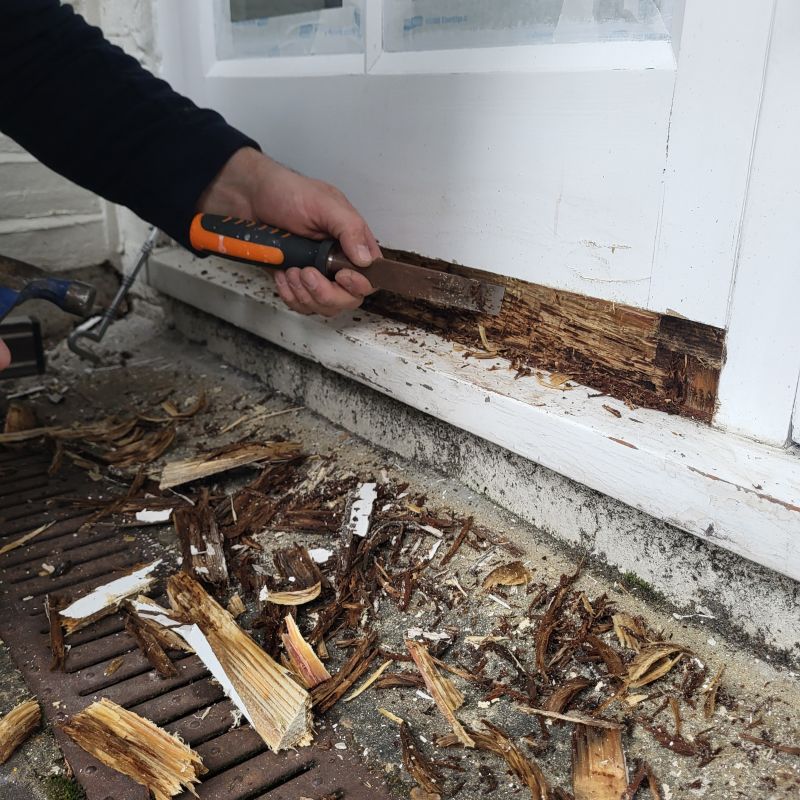 Wood Rot Removal in Denver, CO