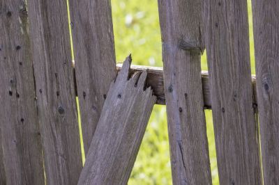 Longevity of Wood Components